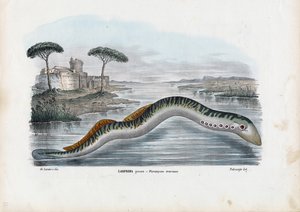シーランプリー、1863-79